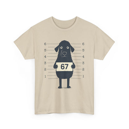 Six Seven Meme 67 Dog