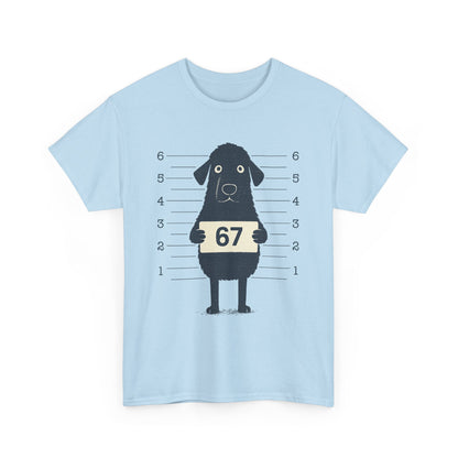 Six Seven Meme 67 Dog