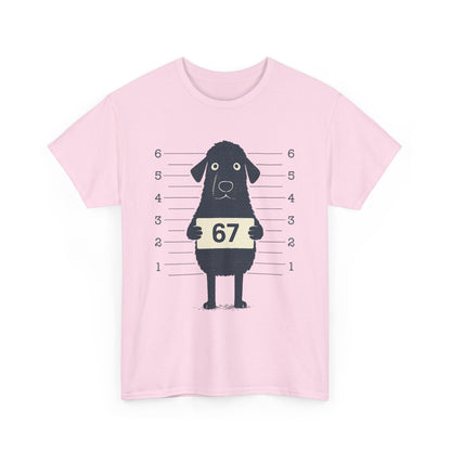 Six Seven Meme 67 Dog