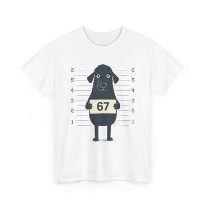 Six Seven Meme 67 Dog